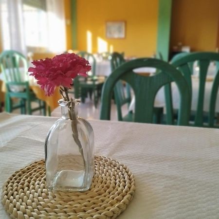 סנטנדר Hotel Matalenas מראה חיצוני תמונה