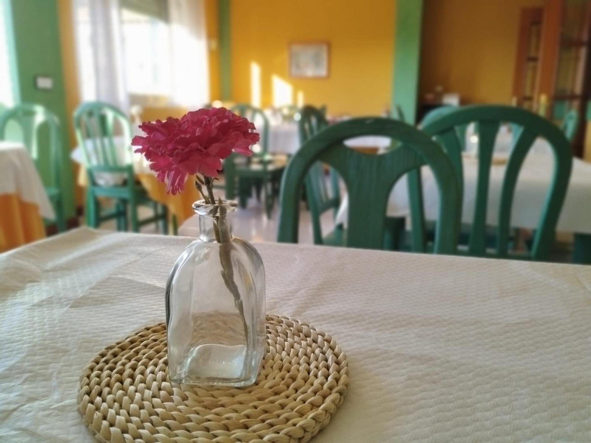 סנטנדר Hotel Matalenas מראה חיצוני תמונה